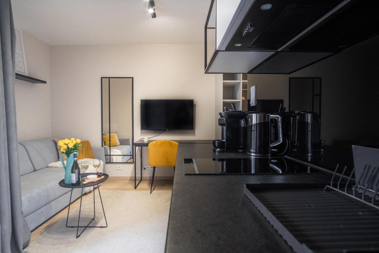 Apartament Iron
