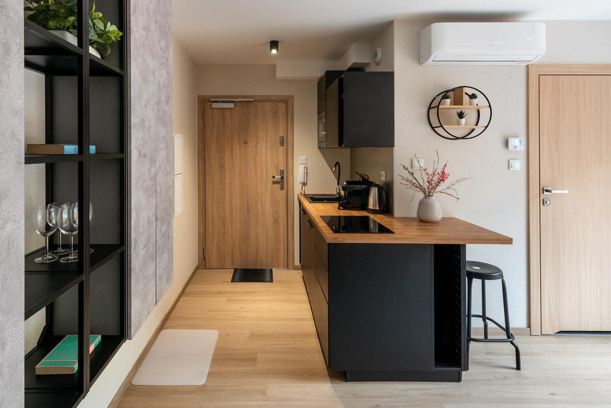 Apartament Iron *
