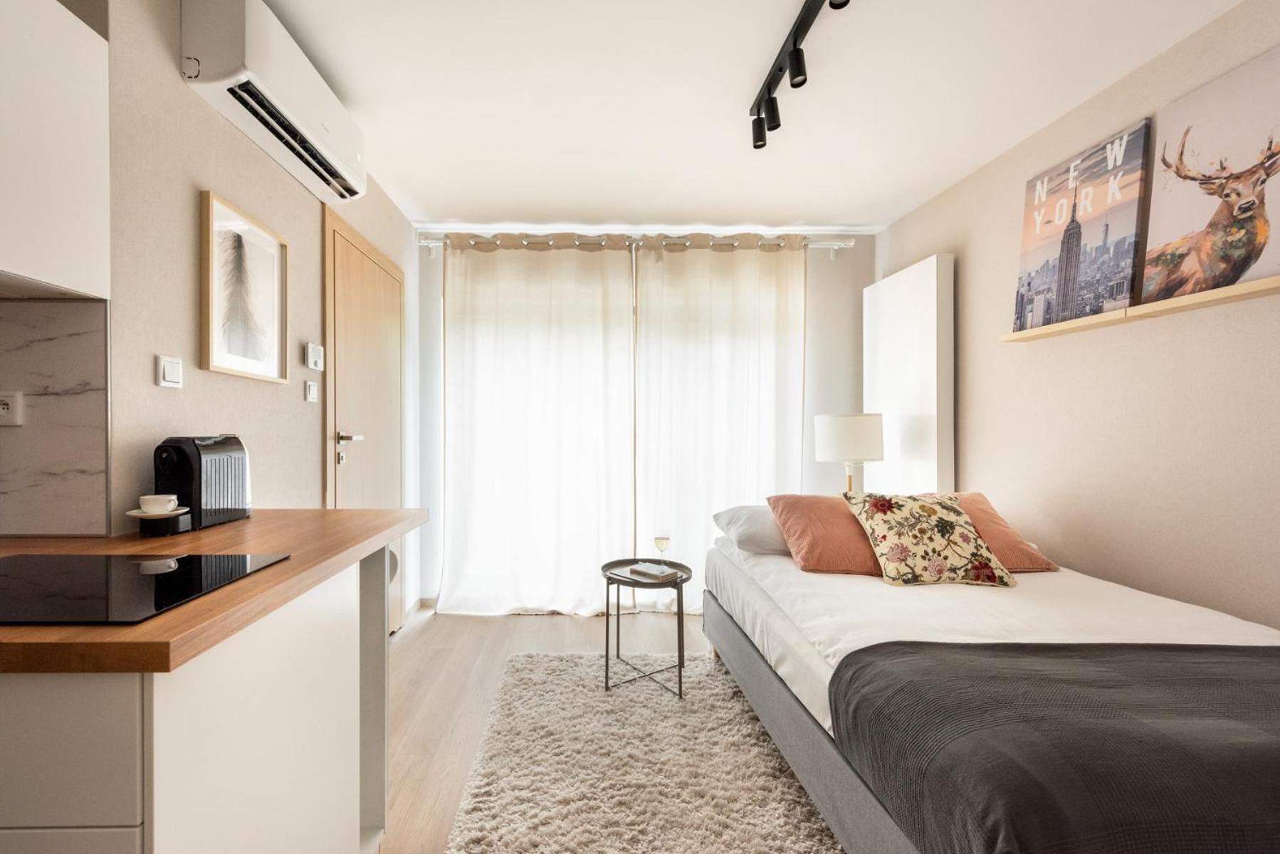 Apartament Iron *
